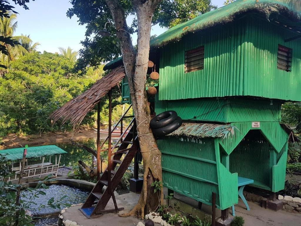 Nature Green Forest Resort Baler Kültér fotó