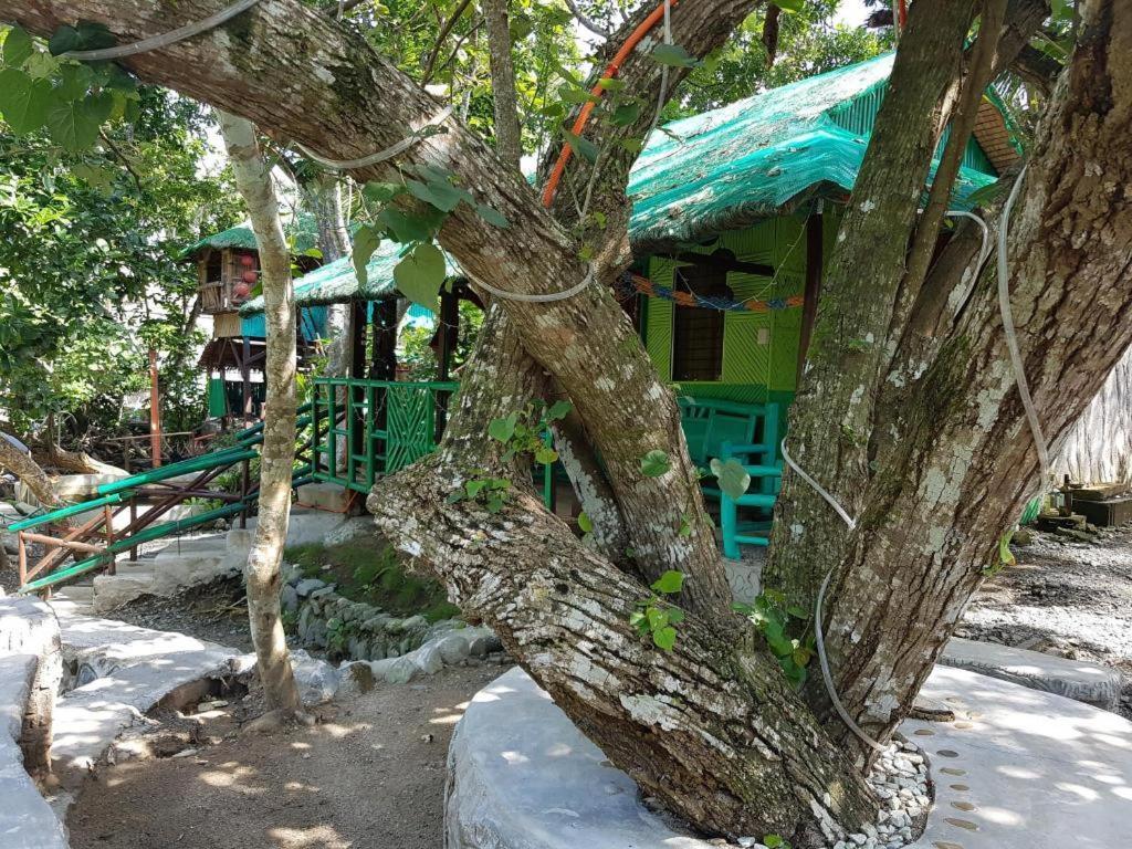 Nature Green Forest Resort Baler Kültér fotó