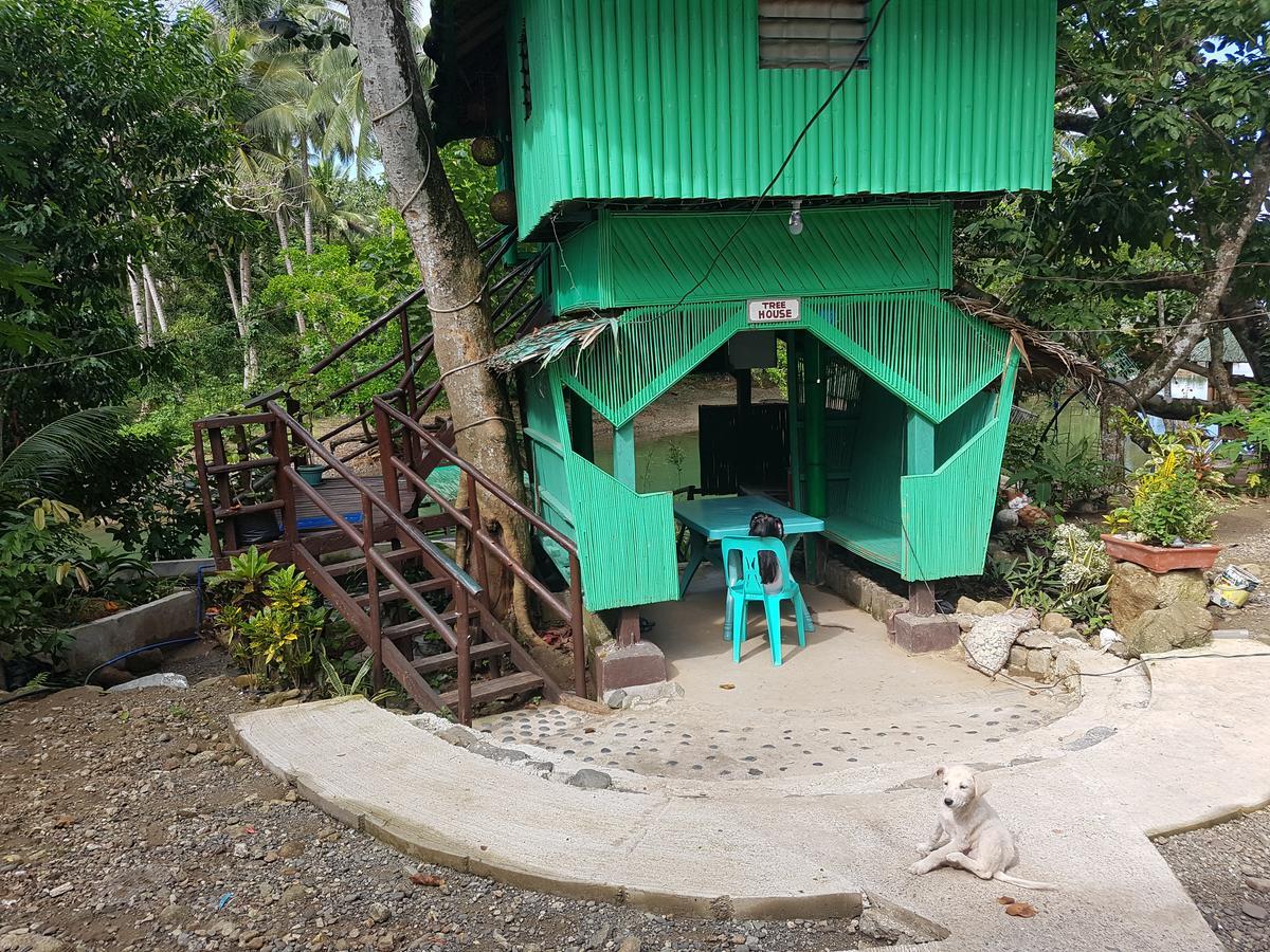 Nature Green Forest Resort Baler Kültér fotó