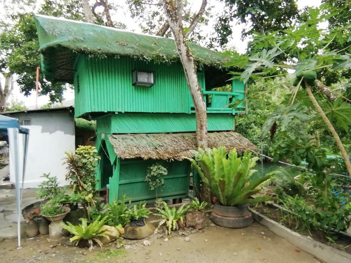 Nature Green Forest Resort Baler Kültér fotó