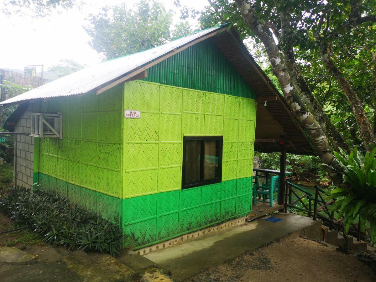Nature Green Forest Resort Baler Kültér fotó